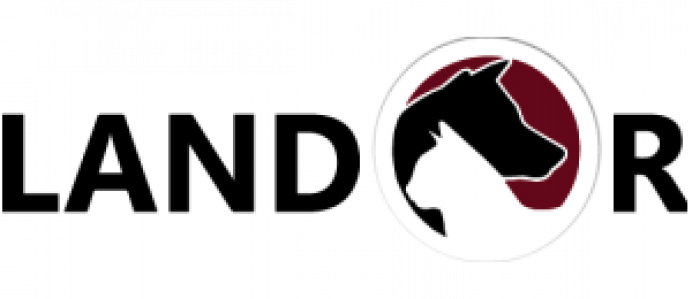 logolandor132