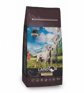 PUPPY-LARGE-BREED-900x1000