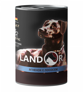 adult-dog-lamb-and-salmon-900x1000