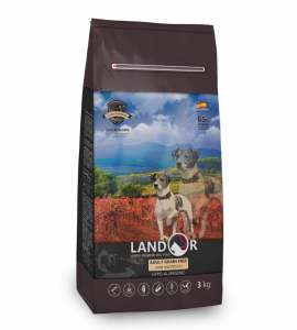 bag_dog_AdultGrainFree-900x1000