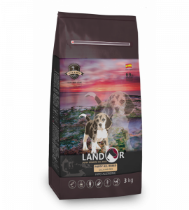 bag_dog_Puppy-900x1000