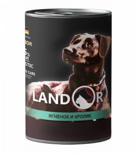 dog_lamb-and-rabbit-900x1000